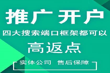 行业领先企业的SEM推广代运营实战经验